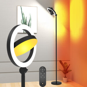 FDFL03 Adjustable Dual-Light Ring LED Floor Lamp with Independent Main and Auxiliary Control for Even Illumination-FunderLED